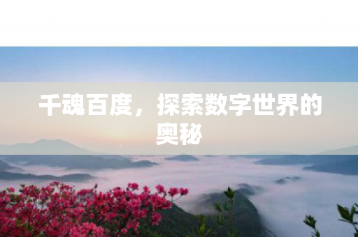 千魂百度,探索数字世界的奥秘 千魂百度,探索数字世界的奥秘