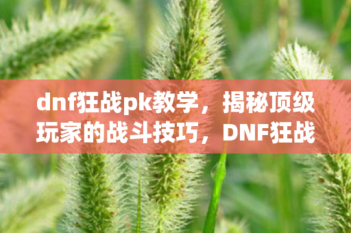 dnf狂战pk教学，揭秘顶级玩家的战斗技巧，DNF狂战PK视频解析