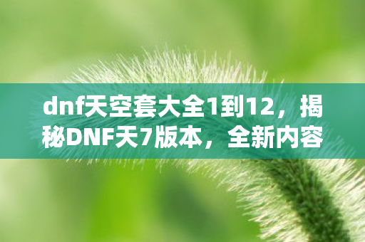 dnf天空套大全1到12，揭秘DNF天7版本，全新内容、特色系统与玩家心得分享