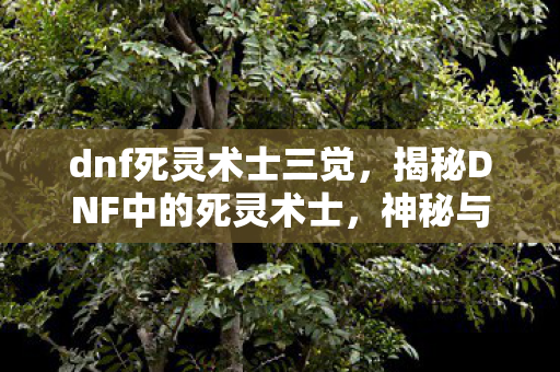 dnf死灵术士三觉,揭秘DNF中的死灵术士,神秘与强大的结合体 dnf死灵术士三觉,揭秘DNF中的死灵术士,神秘与强大的结合体