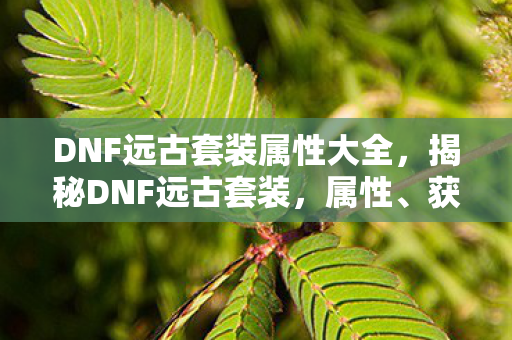 DNF远古套装属性大全，揭秘DNF远古套装，属性、获取方式与搭配策略