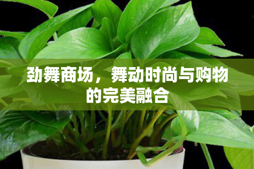 劲舞商场，舞动时尚与购物的完美融合