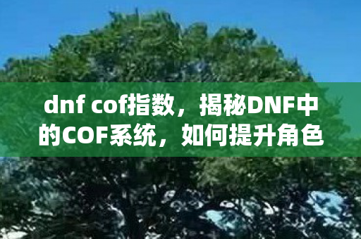 dnf cof指数，揭秘DNF中的COF系统，如何提升角色实力与成长体验