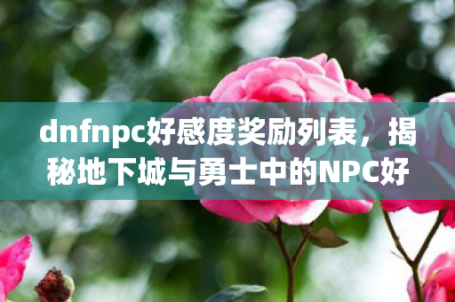 dnfnpc好感度奖励列表，揭秘地下城与勇士中的NPC好感度系统