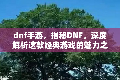 dnf手游，揭秘DNF，深度解析这款经典游戏的魅力之源