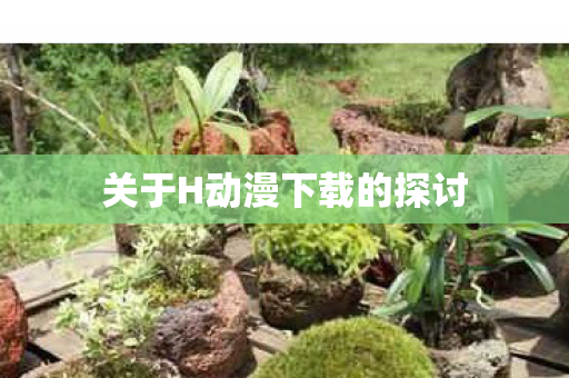 关于H动漫下载的探讨