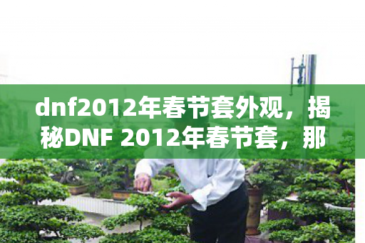 dnf2012年春节套外观，揭秘DNF 2012年春节套，那些令人心动的惊喜与独特之处