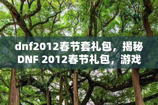 dnf2012春节套礼包,揭秘DNF 2012春节礼包,游戏内外的惊喜与期待 dnf2012春节套礼包,揭秘DNF 2012春节礼包,游戏内外的惊喜与期待