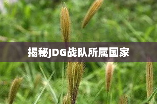 揭秘JDG战队所属国家