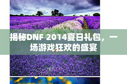 揭秘DNF 2014夏日礼包,一场游戏狂欢的盛宴 揭秘DNF 2014夏日礼包,一场游戏狂欢的盛宴