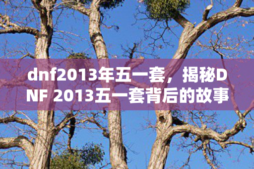 dnf2013年五一套，揭秘DNF 2013五一套背后的故事与意义