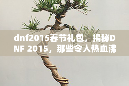 dnf2015春节礼包，揭秘DNF 2015，那些令人热血沸腾的日子