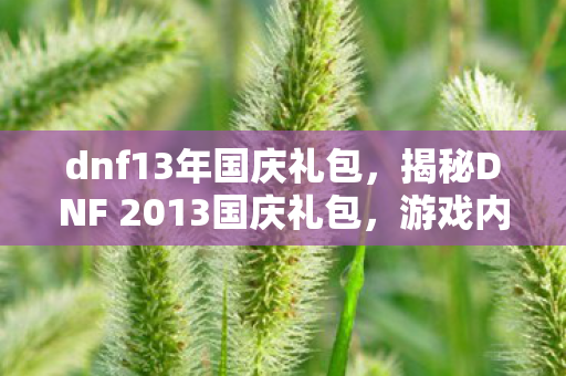dnf13年国庆礼包，揭秘DNF 2013国庆礼包，游戏内外的惊喜福利一网打尽！
