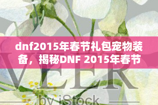 dnf2015年春节礼包宠物装备,揭秘DNF 2015年春节礼包,豪华内容与超值惊喜! dnf2015年春节礼包宠物装备,揭秘DNF 2015年春节礼包,豪华内容与超值惊喜!