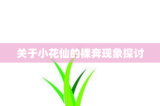 关于小花仙的裸奔现象探讨