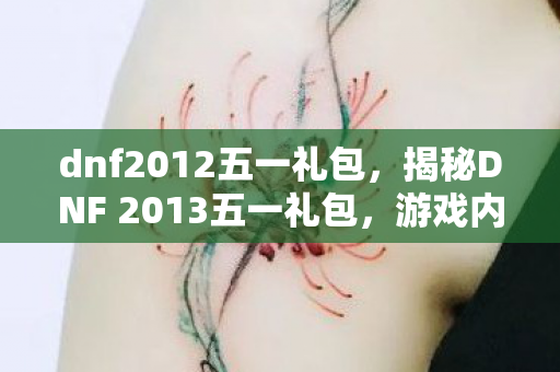dnf2012五一礼包，揭秘DNF 2013五一礼包，游戏内外的惊喜福利！