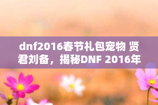 dnf2016春节礼包宠物 贤君刘备，揭秘DNF 2016年春节大礼包，神秘惊喜与独特价值一网打尽！