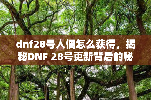 dnf28号人偶怎么获得,揭秘DNF 28号更新背后的秘密与亮点 dnf28号人偶怎么获得,揭秘DNF 28号更新背后的秘密与亮点
