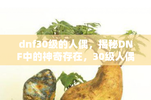 dnf30级的人偶,揭秘DNF中的神奇存在,30级人偶 dnf30级的人偶,揭秘DNF中的神奇存在,30级人偶