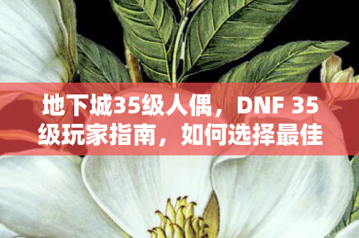 地下城35级人偶，DNF 35级玩家指南，如何选择最佳人偶助你冒险！