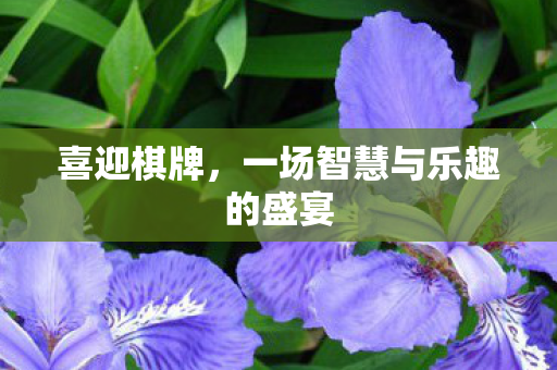 喜迎棋牌,一场智慧与乐趣的盛宴 喜迎棋牌,一场智慧与乐趣的盛宴