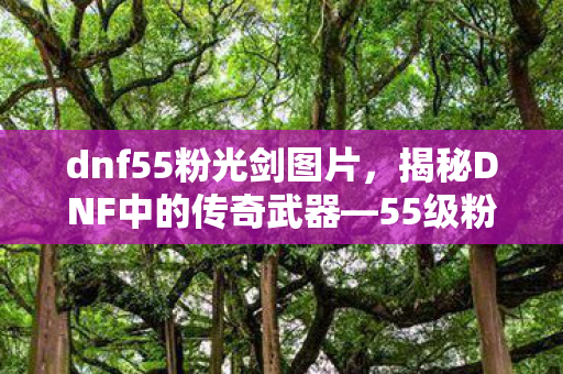 dnf55粉光剑图片，揭秘DNF中的传奇武器—55级粉光剑