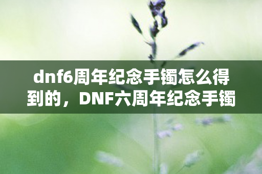 dnf6周年纪念手镯怎么得到的,DNF六周年纪念手镯获取攻略 dnf6周年纪念手镯怎么得到的,DNF六周年纪念手镯获取攻略