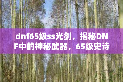 dnf65级ss光剑,揭秘DNF中的神秘武器,65级史诗光剑 dnf65级ss光剑,揭秘DNF中的神秘武器,65级史诗光剑