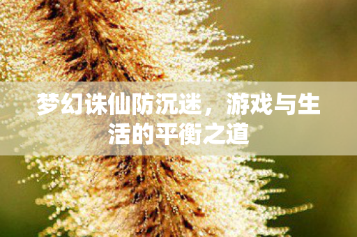 梦幻诛仙防沉迷,游戏与生活的平衡之道 梦幻诛仙防沉迷,游戏与生活的平衡之道