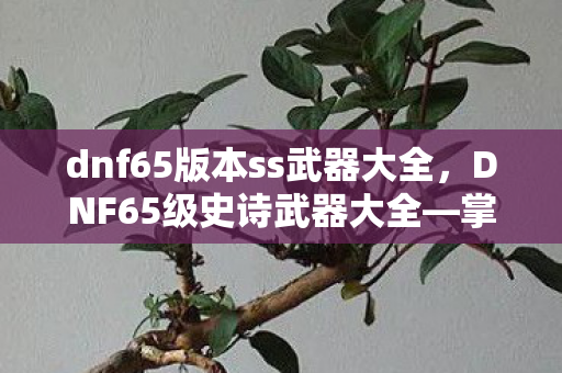 dnf65版本ss武器大全,DNF65级史诗武器大全—掌握所有顶级武器的秘密 dnf65版本ss武器大全,DNF65级史诗武器大全—掌握所有顶级武器的秘密