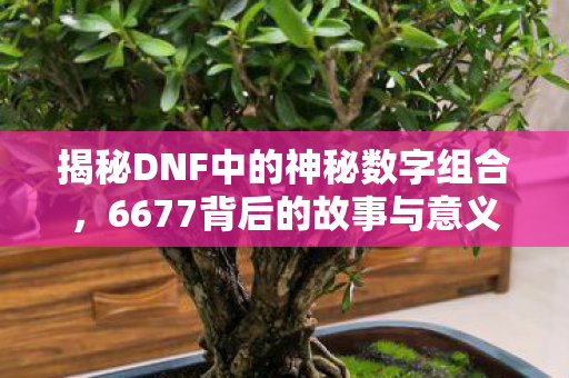 揭秘DNF中的神秘数字组合，6677背后的故事与意义