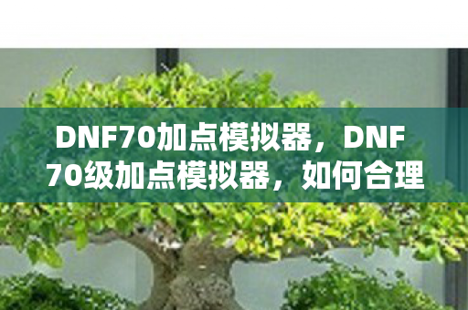 DNF70加点模拟器，DNF 70级加点模拟器，如何合理分配技能点数？