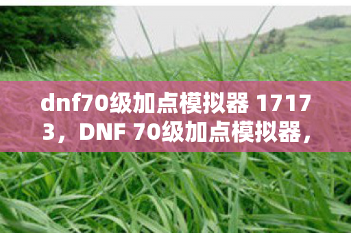 dnf70级加点模拟器 17173，DNF 70级加点模拟器，如何巧妙分配技能点以提升角色实力？