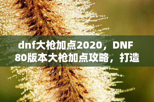 dnf大枪加点2020,DNF 80版本大枪加点攻略,打造最强战斗机器! dnf大枪加点2020,DNF 80版本大枪加点攻略,打造最强战斗机器!