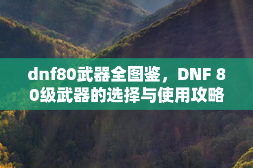 dnf80武器全图鉴，DNF 80级武器的选择与使用攻略