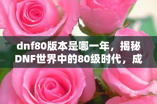 dnf80版本是哪一年，揭秘DNF世界中的80级时代，成长与挑战并存的新篇章