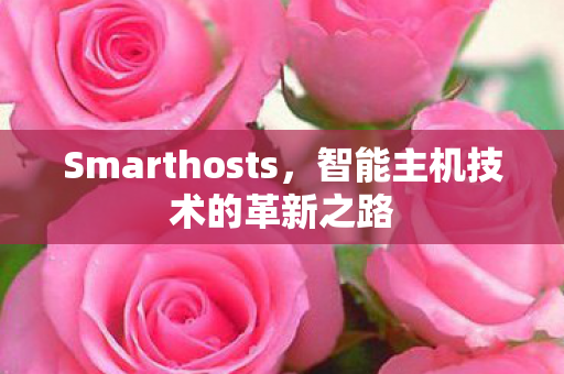 Smarthosts,智能主机技术的革新之路 Smarthosts,智能主机技术的革新之路