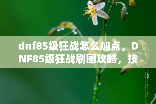 dnf85级狂战怎么加点,DNF85级狂战刷图攻略,技能加点详解 dnf85级狂战怎么加点,DNF85级狂战刷图攻略,技能加点详解