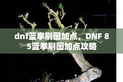 dnf蓝拳刷图加点，DNF 85蓝拳刷图加点攻略