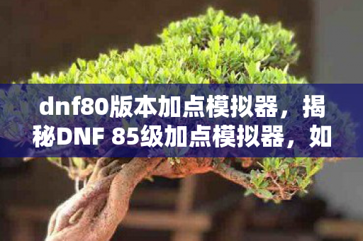 dnf80版本加点模拟器，揭秘DNF 85级加点模拟器，如何巧妙分配属性点以提升角色战力？