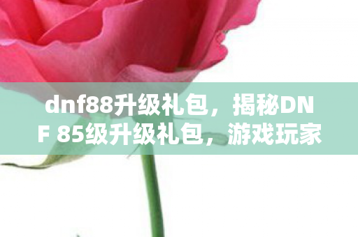 dnf88升级礼包,揭秘DNF 85级升级礼包,游戏玩家的福音来了! dnf88升级礼包,揭秘DNF 85级升级礼包,游戏玩家的福音来了!