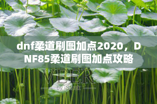 dnf柔道刷图加点2020,DNF85柔道刷图加点攻略 dnf柔道刷图加点2020,DNF85柔道刷图加点攻略