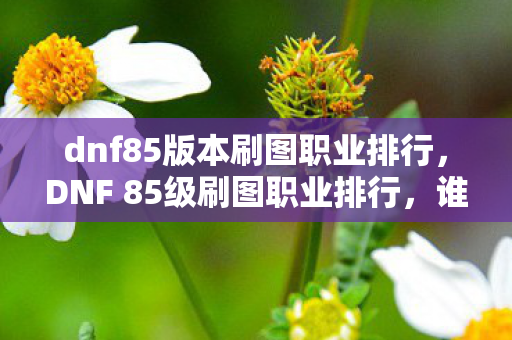 dnf85版本刷图职业排行，DNF 85级刷图职业排行，谁主沉浮？谁领风骚？