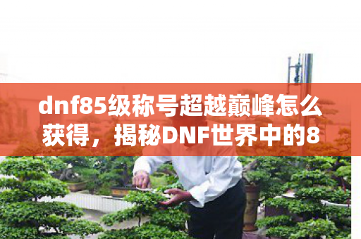 dnf85级称号超越巅峰怎么获得，揭秘DNF世界中的85级巅峰之战，挑战与成长并存