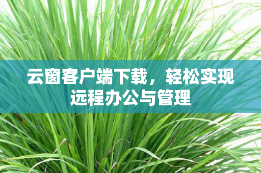 云窗客户端下载，轻松实现远程办公与管理