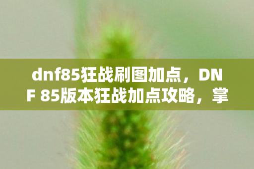 dnf85狂战刷图加点，DNF 85版本狂战加点攻略，掌握核心技能，轻松提升战斗力！