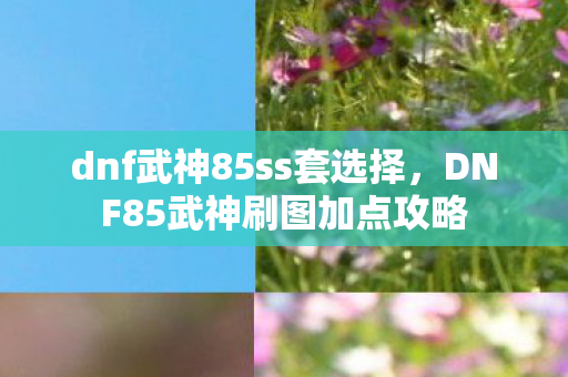 dnf武神85ss套选择，DNF85武神刷图加点攻略
