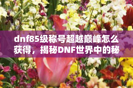 dnf85级称号超越巅峰怎么获得，揭秘DNF世界中的秘密，85级探险者的奇幻之旅