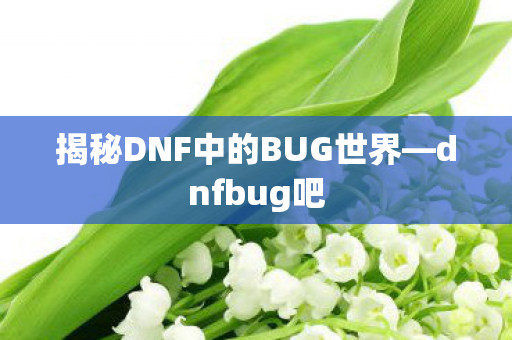 揭秘DNF中的BUG世界—dnfbug吧 揭秘DNF中的BUG世界—dnfbug吧