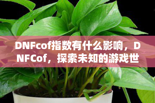 DNFcof指数有什么影响，DNFCof，探索未知的游戏世界与电竞热潮背后的故事